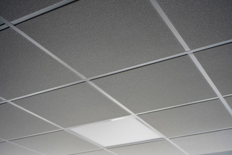 Acoustic Ceiling Replacement in Longmont, CO