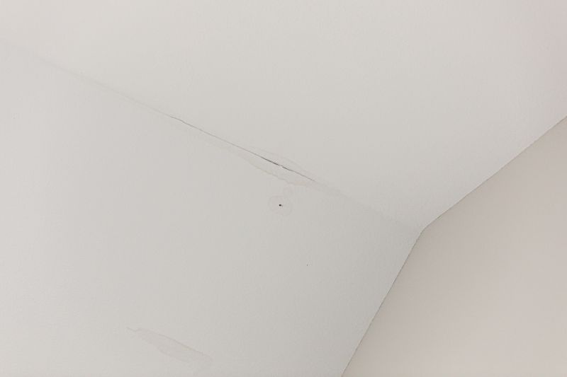 Ceiling Repair Service