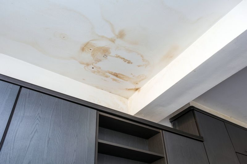 Ceiling Repair Service