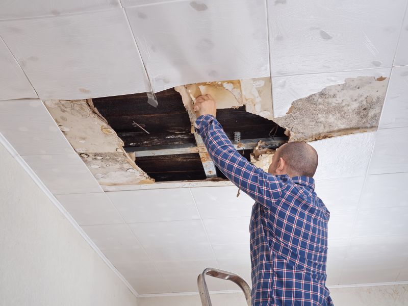 Ceiling Repair Service