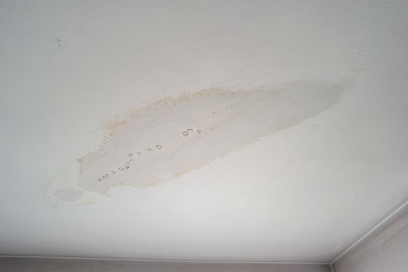 Dry Weather for Ceiling Repairs