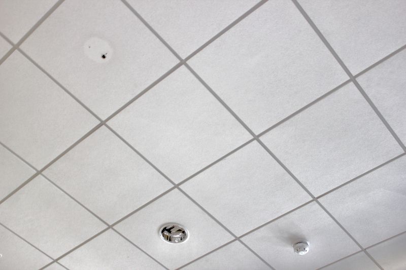 Drop Ceiling Installation in Longmont, CO