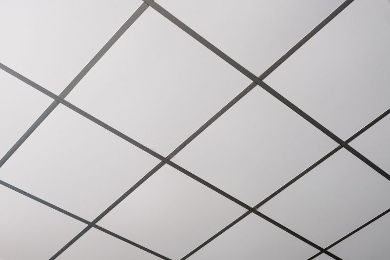 T Bar Ceiling Installation in Longmont, CO
