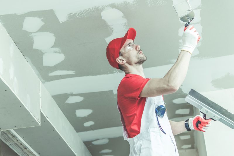 Ceiling Painting Professionals