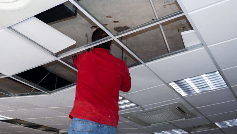 Local Ceiling Repair Service pros at work
