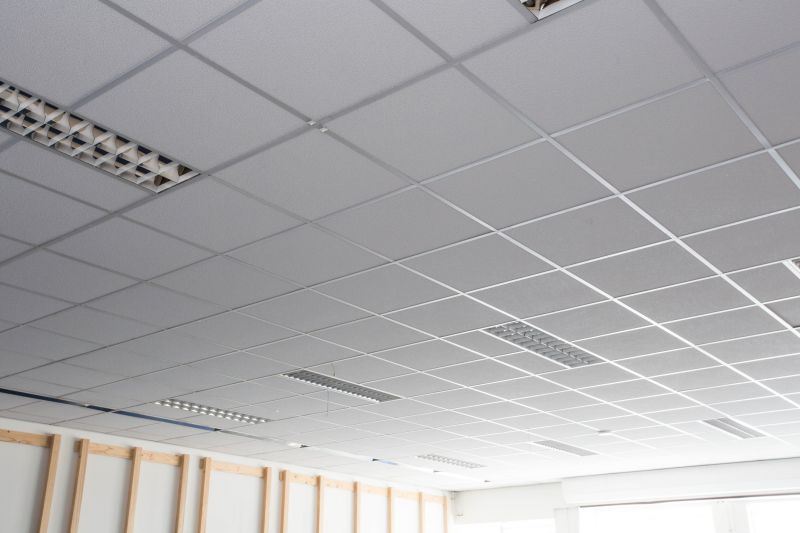Ceiling Tiles Installation in Arvada, CO